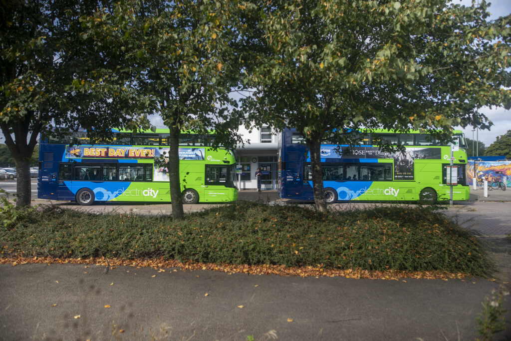 Two buses in the background with two tress in front