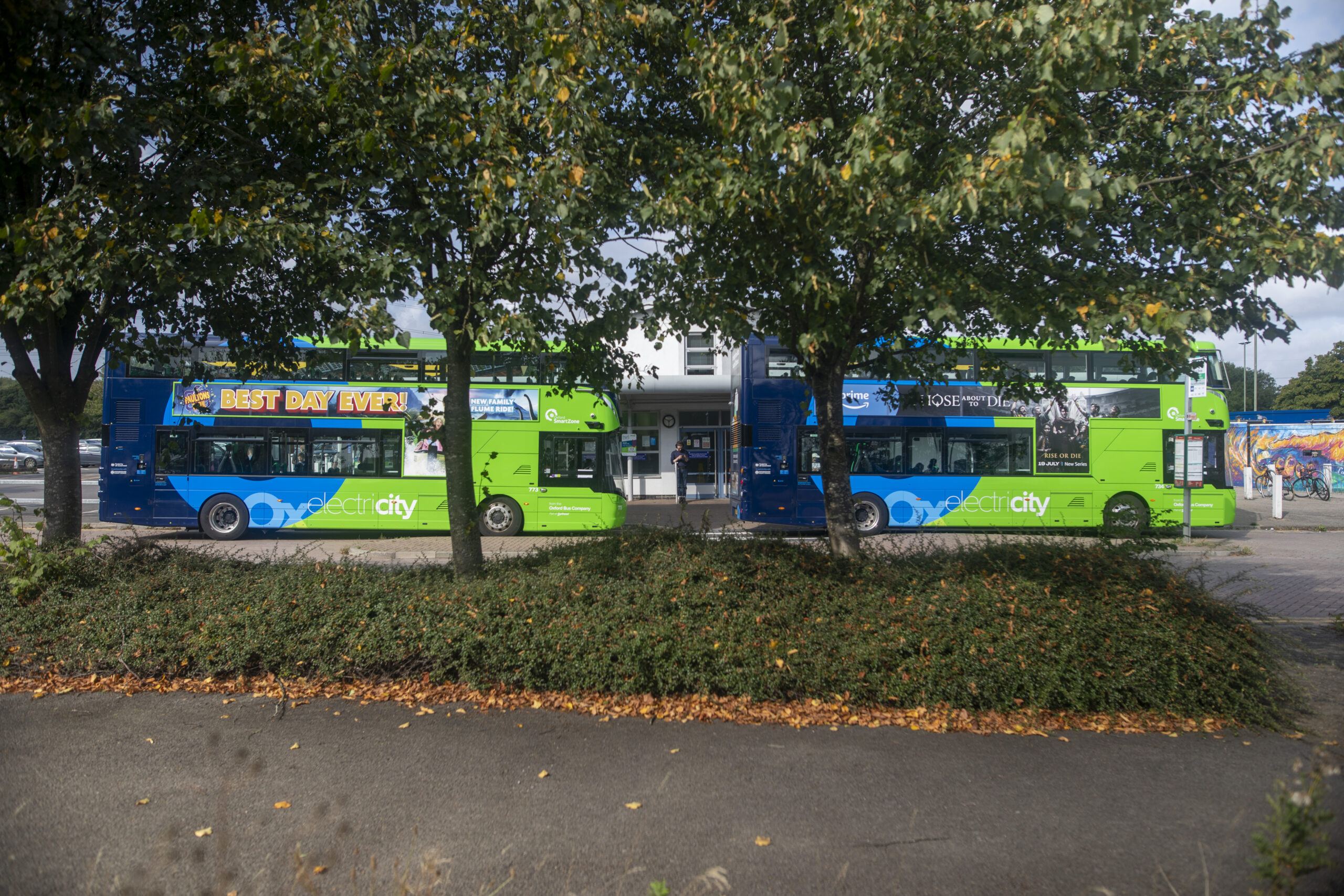 Two buses in the background with two tress in front